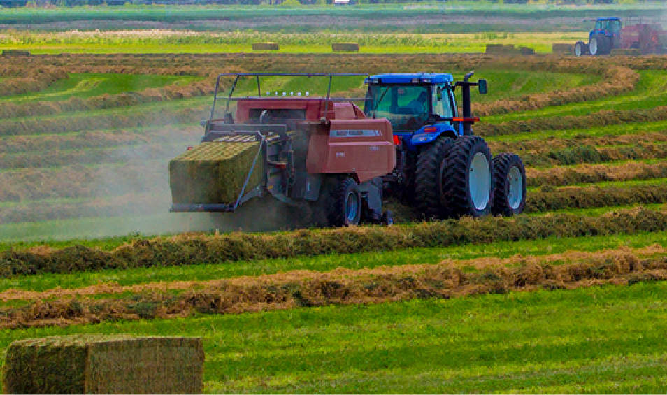 Baler Twine