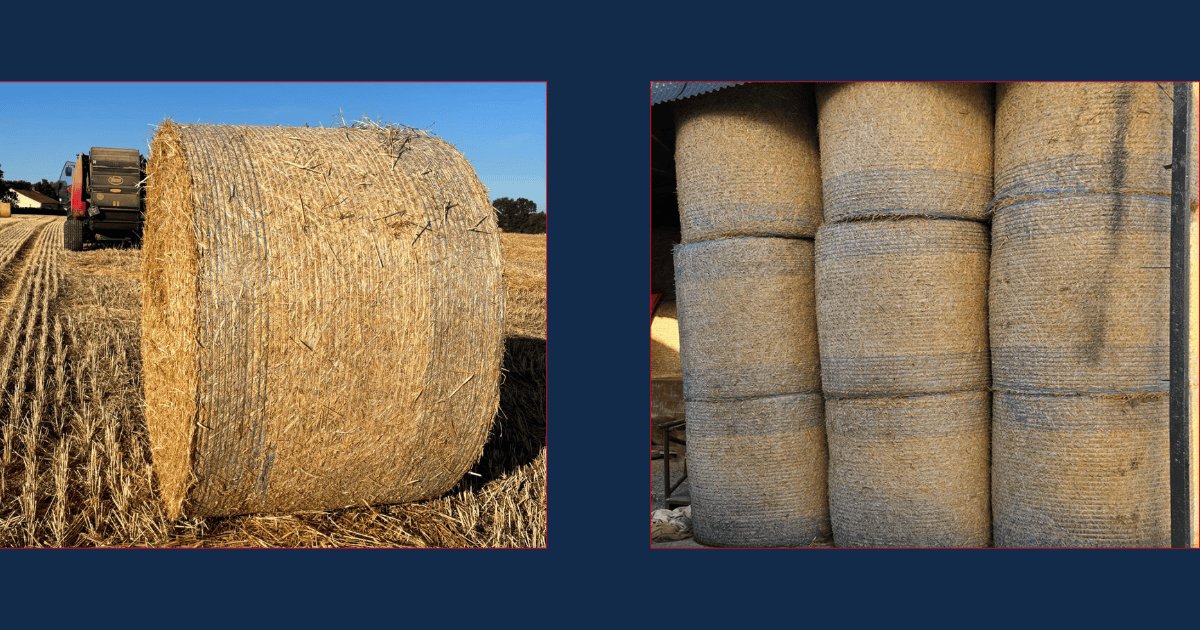 Wrapping and Storage in Silage Management